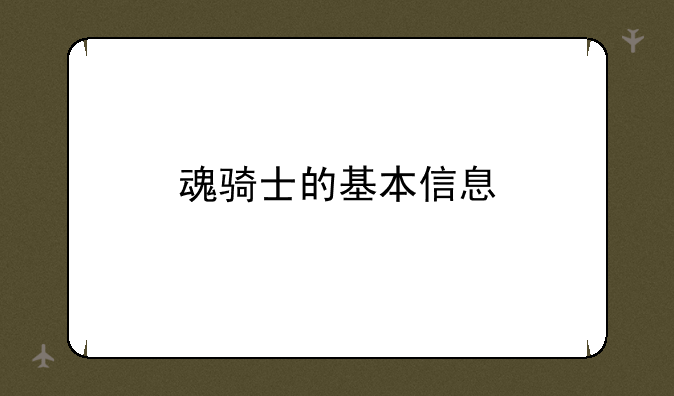 魂骑士的基本信息
