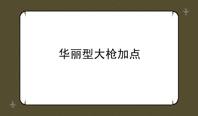 华丽型大枪加点