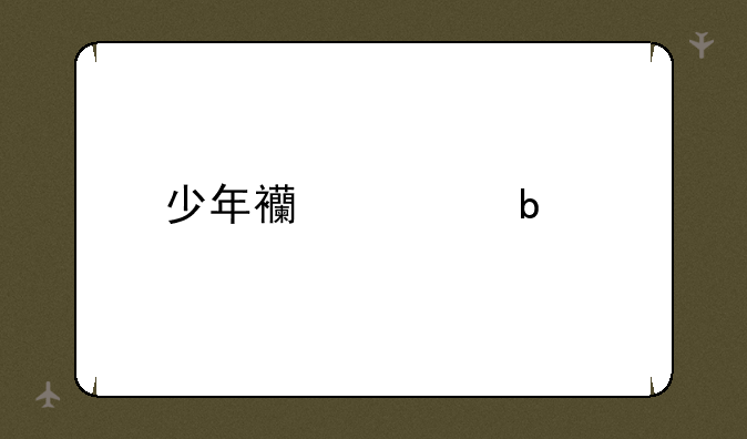 少年西游记阵容