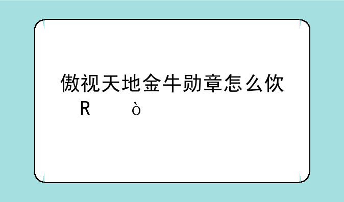 傲视天地金牛勋章怎么使用？
