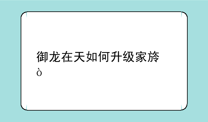 御龙在天如何升级家族？