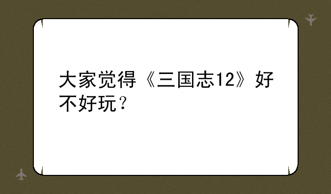 大家觉得《三国志12》好不好玩？