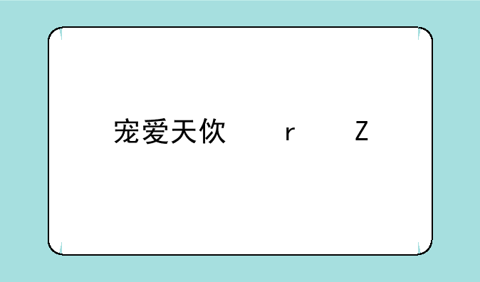宠爱天使最新版，北京城市学院重修费