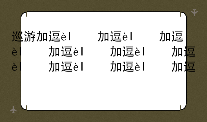 巡游加速器:巡游加速器下载